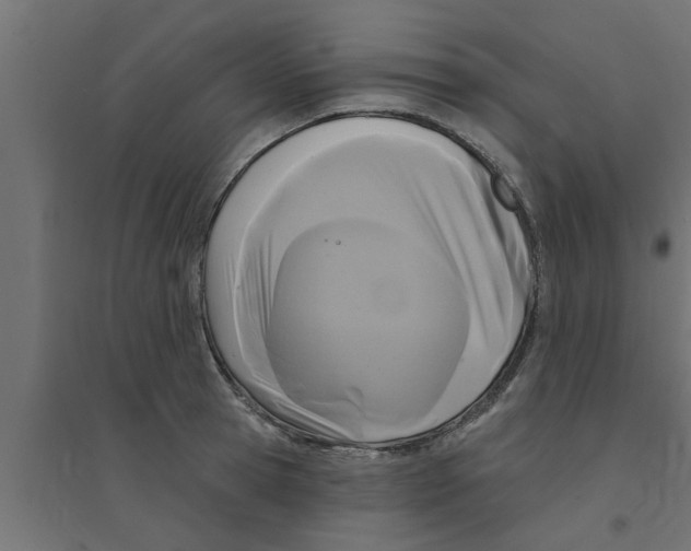 X0000094230945200711241741