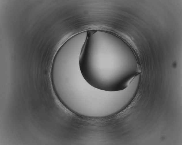 X0000094230946200711241741