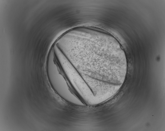 X0000094230948200711241741