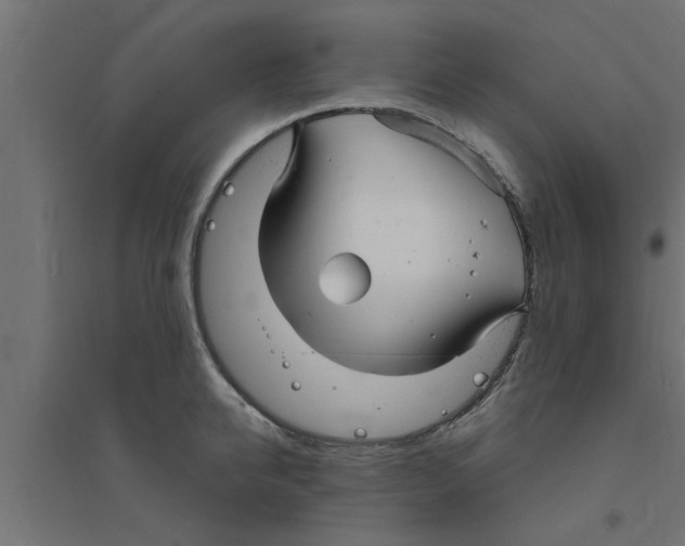 X0000094230950200711241741