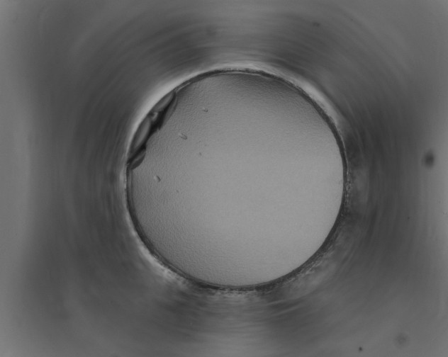 X0000094230951200711241741