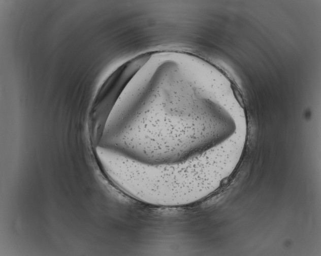 X0000094230952200711241741