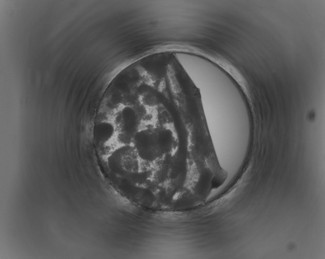 X0000094230953200711241741