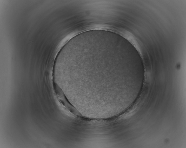 X0000094230954200711241741