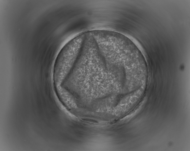 X0000094230957200711241741
