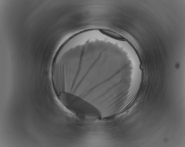 X0000094230958200711241741
