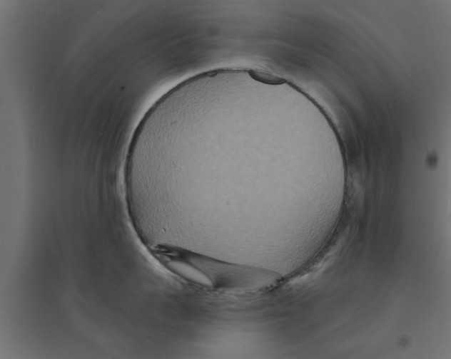 X0000094230959200711241742
