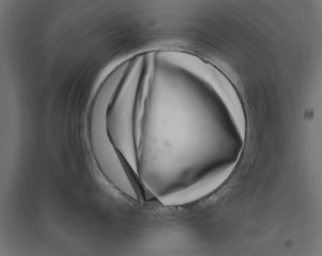 X0000094230960200711241742
