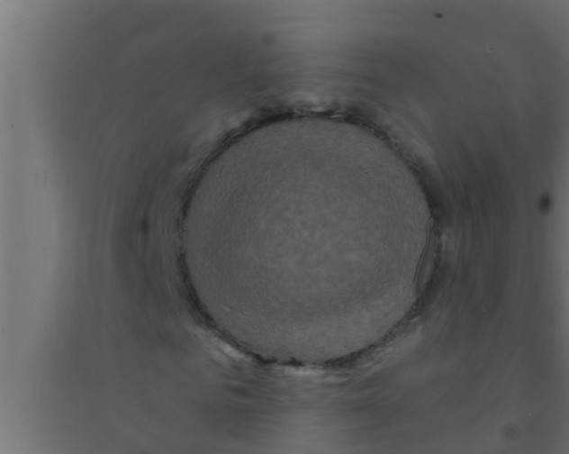 X0000094230961200711241741