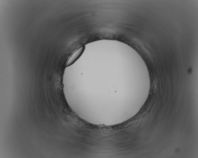 X0000094230964200711241741