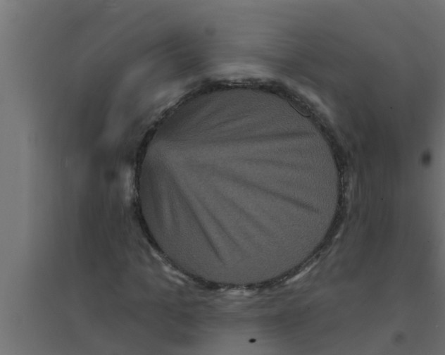 X0000094230965200711241741