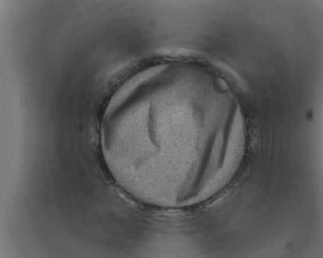 X0000094230966200711241741