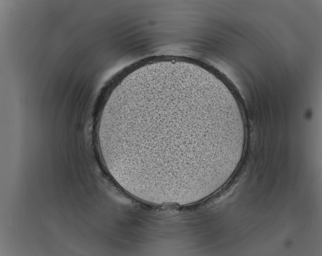 X0000094230971200711241741