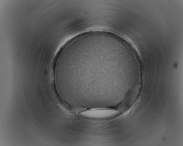 X0000094230973200711241741
