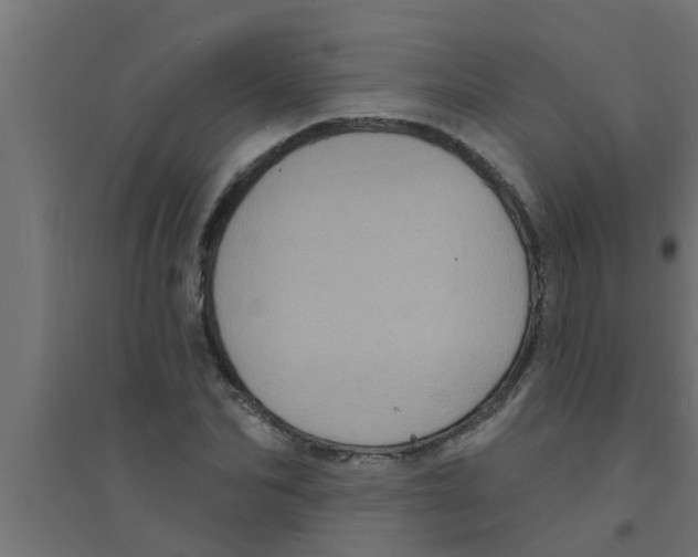 X0000094230974200711241741