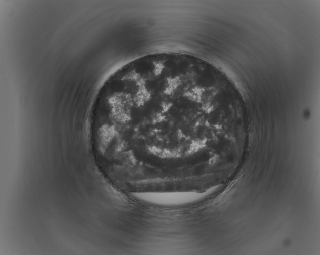 X0000094230975200711241741