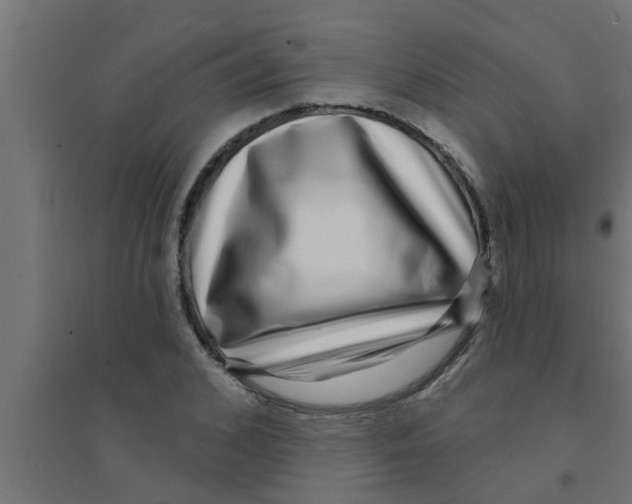 X0000094230976200711241741