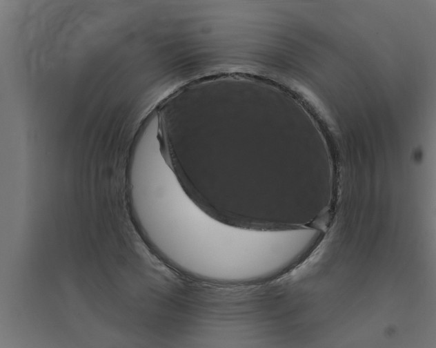X0000094230977200711241741