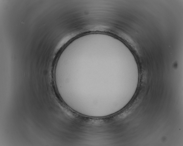 X0000094230978200711241741
