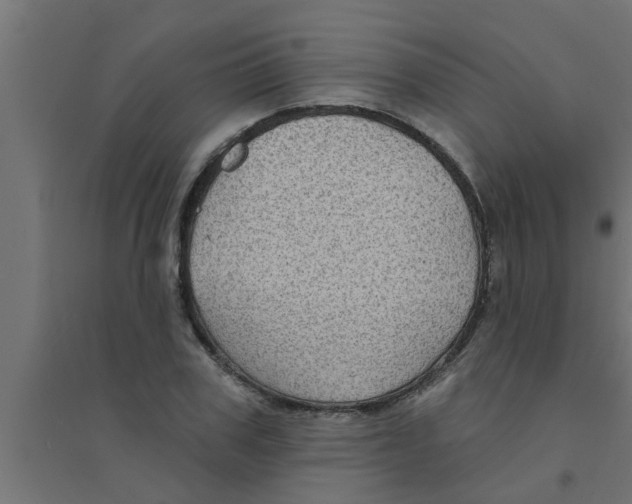X0000094230979200711241741