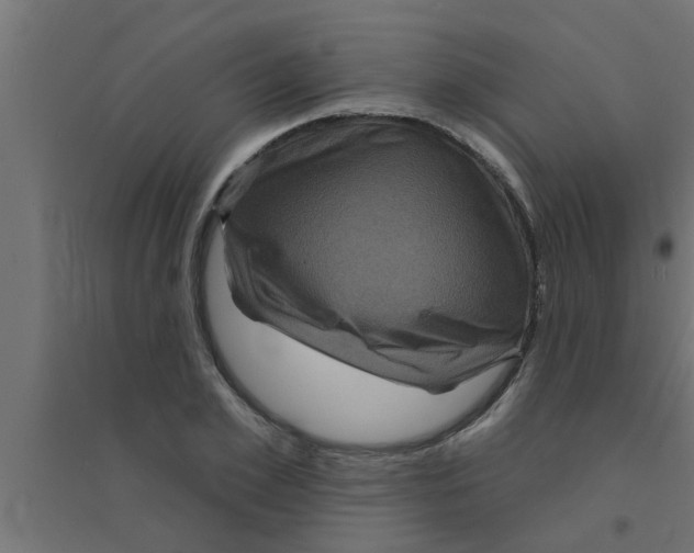 X0000094230981200711241741