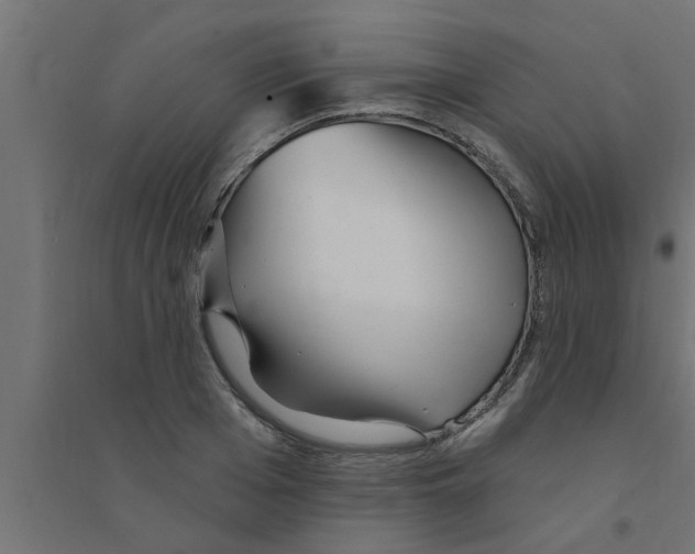 X0000094230985200711241741