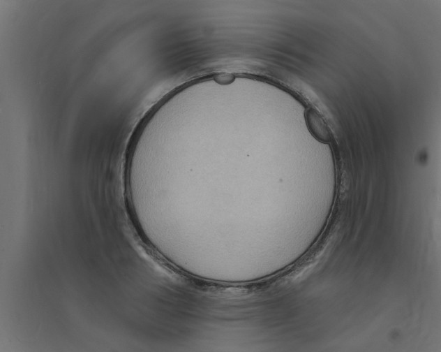 X0000094230986200711241741