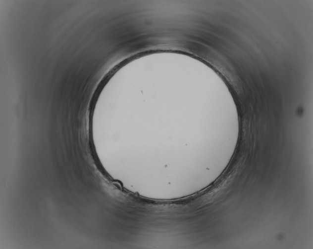 X0000094230988200711241740