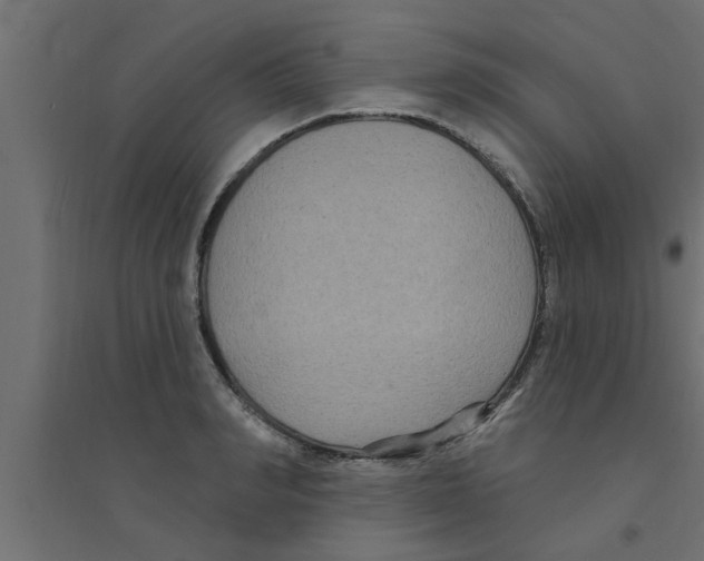 X0000094230990200711241740