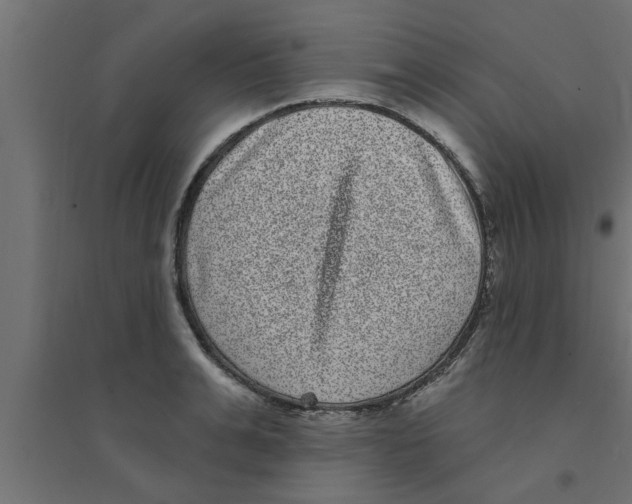 X0000094230991200711241740