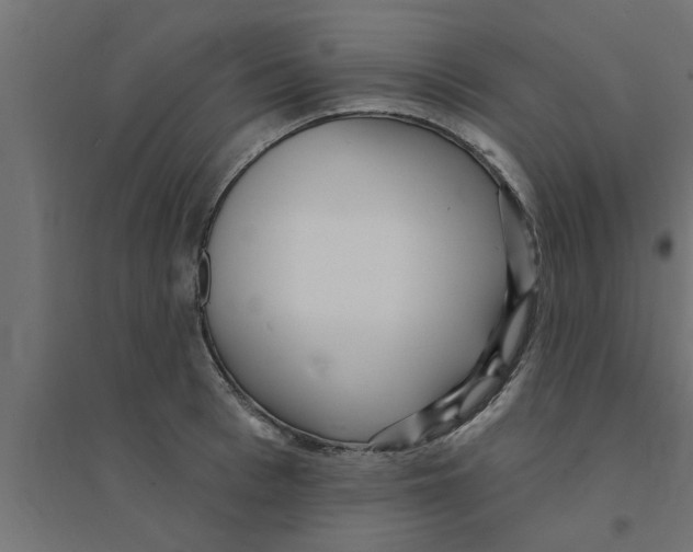 X0000094230993200711241740
