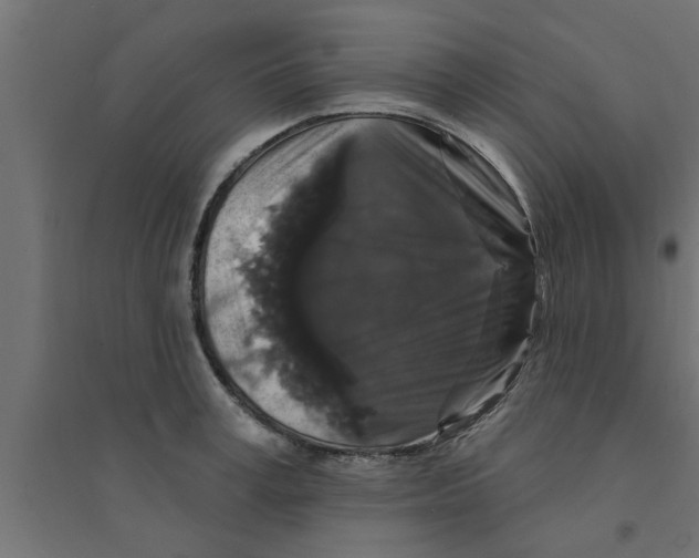 X0000094230995200711241740