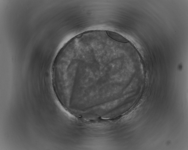 X0000094230998200711241740