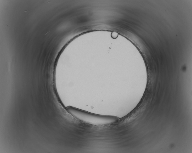 X0000094231000200711241740