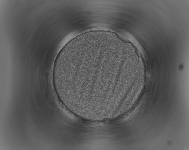 X0000094231002200711241740
