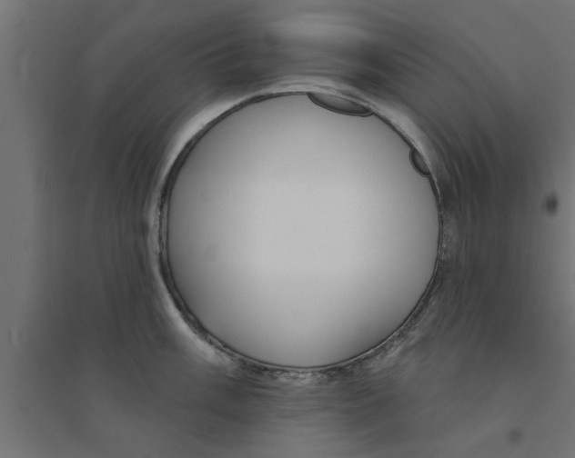 X0000094231003200711241740