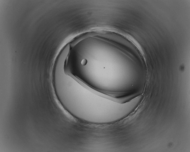 X0000094231005200711241740
