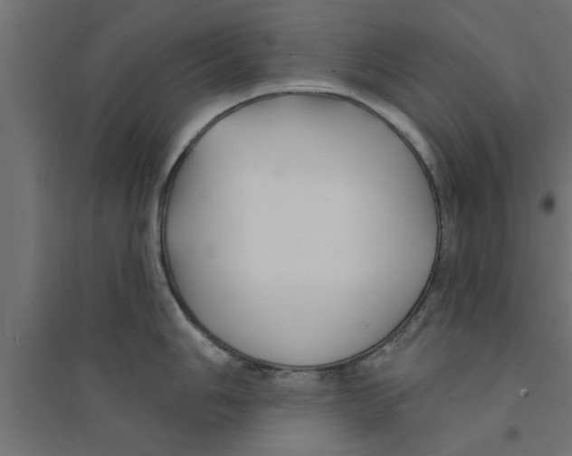 X0000094231006200711241740