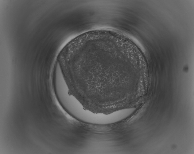 X0000094231007200711241740