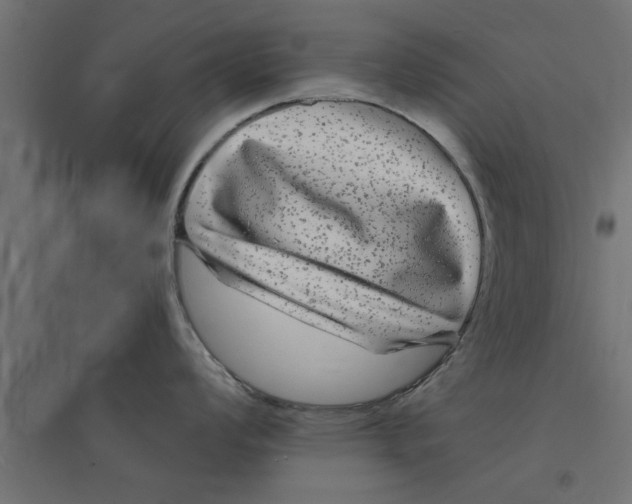 X0000094231008200711241740