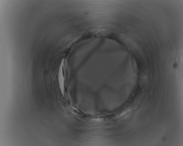 X0000094231010200711241740