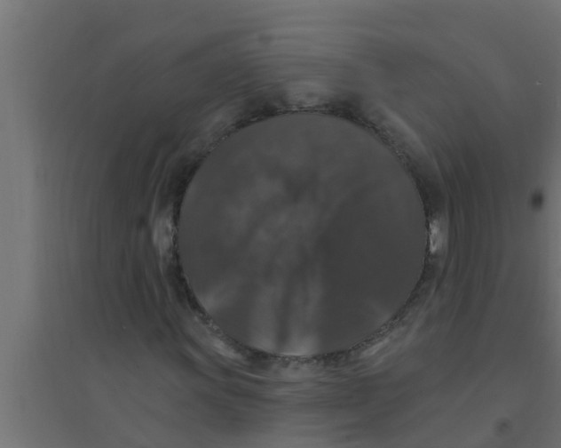 X0000094231011200711241740