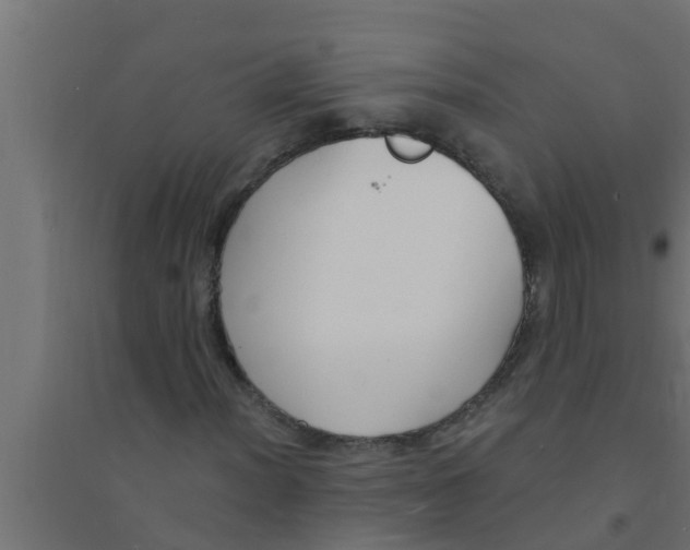 X0000094231012200711241740