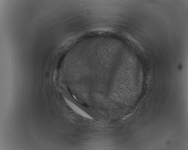 X0000094231014200711241740