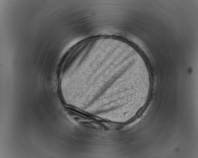 X0000094231018200711241740