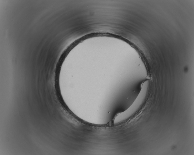 X0000094231020200711241740