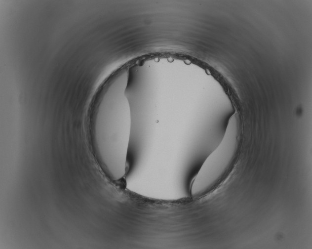 X0000094231022200711241740