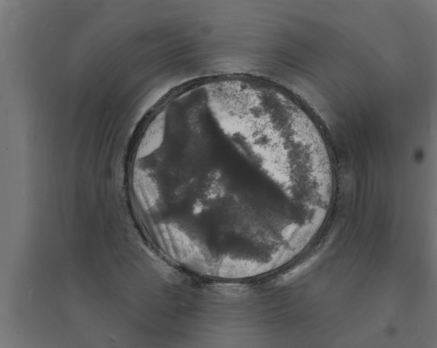 X0000094231023200711241740