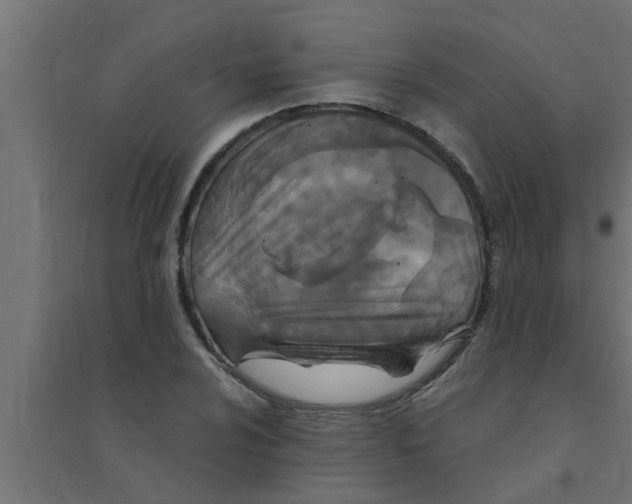 X0000094231024200711241740