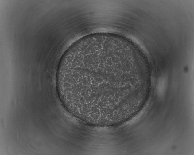 X0000094231025200711241740